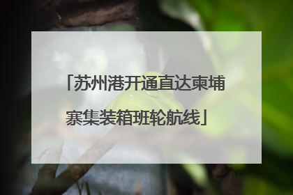 苏州港开通直达柬埔寨集装箱班轮航线