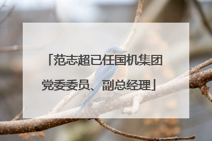 范志超已任国机集团党委委员、副总经理