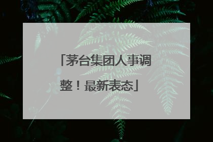 茅台集团人事调整！最新表态