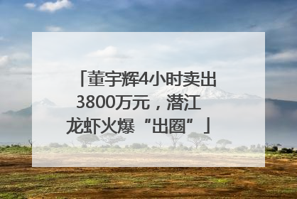 董宇辉4小时卖出3800万元，潜江龙虾火爆“出圈”