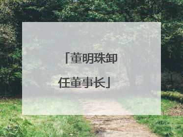 董明珠卸任董事长