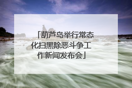 葫芦岛举行常态化扫黑除恶斗争工作新闻发布会