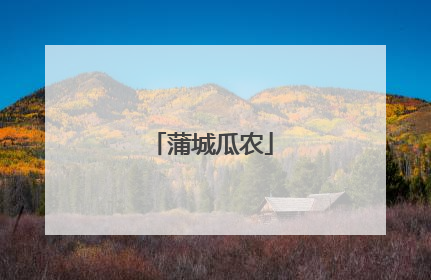 蒲城瓜农