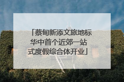 蔡甸新添文旅地标 华中首个近郊一站式度假综合体开业