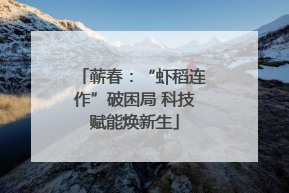 蕲春：“虾稻连作”破困局 科技赋能焕新生