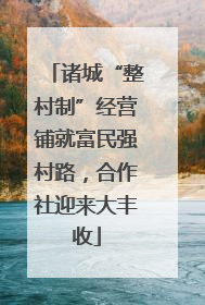 诸城“整村制”经营铺就富民强村路，合作社迎来大丰收
