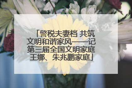 警税夫妻档 共筑文明和谐家风——记第三届全国文明家庭王娜、朱兆鹏家庭