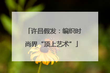 许昌假发：编织时尚界“顶上艺术”