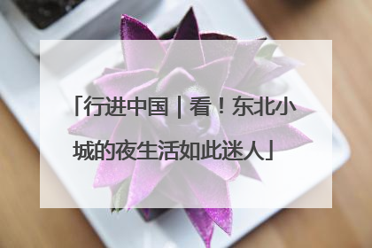 行进中国｜看！东北小城的夜生活如此迷人