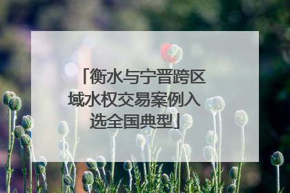 衡水与宁晋跨区域水权交易案例入选全国典型
