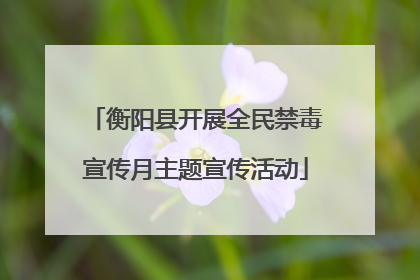 衡阳县开展全民禁毒宣传月主题宣传活动