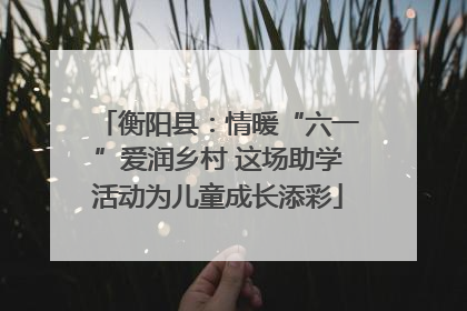 衡阳县：情暖“六一”爱润乡村 这场助学活动为儿童成长添彩