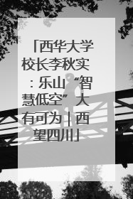 西华大学校长李秋实：乐山“智慧低空”大有可为｜西望四川