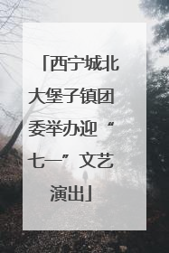 西宁城北大堡子镇团委举办迎“七一”文艺演出