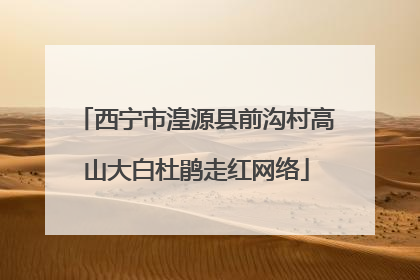 西宁市湟源县前沟村高山大白杜鹃走红网络