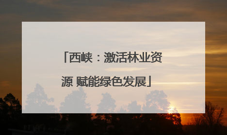 西峡：激活林业资源 赋能绿色发展
