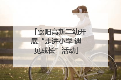 襄阳高新二幼开展“走进小学 遇见成长”活动