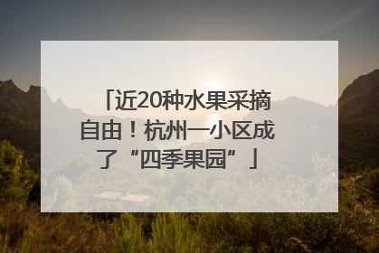 近20种水果采摘自由！杭州一小区成了“四季果园”