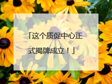 这个质促中心正式揭牌成立！