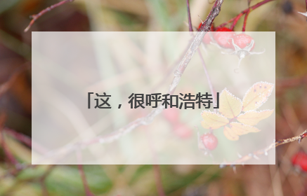 这，很呼和浩特