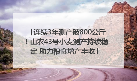 连续3年测产破800公斤！山农43号小麦测产持续稳定 助力粮食增产丰收