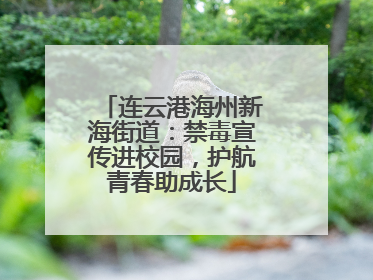 连云港海州新海街道：禁毒宣传进校园，护航青春助成长