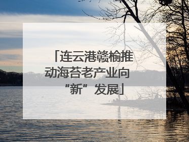 连云港赣榆推动海苔老产业向“新”发展