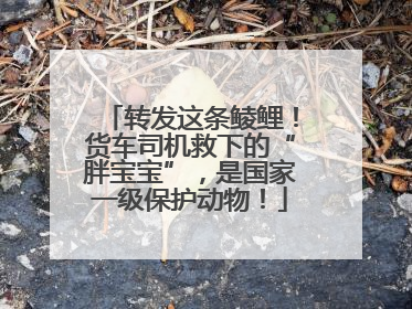 转发这条鲮鲤！货车司机救下的“胖宝宝”，是国家一级保护动物！