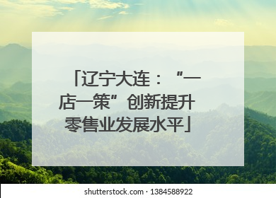 辽宁大连：“一店一策”创新提升零售业发展水平