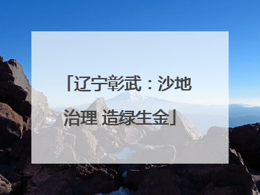 辽宁彰武：沙地治理 造绿生金
