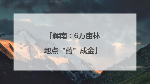 辉南：6万亩林地点“药”成金