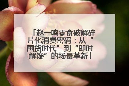 赵一鸣零食破解碎片化消费密码：从“囤货时代”到“即时解馋”的场景革新