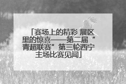 赛场上的精彩 展区里的惊喜——第二届“青超联赛”第三轮西宁主场比赛见闻