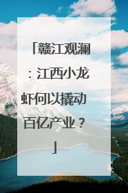 赣江观澜：江西小龙虾何以撬动百亿产业？