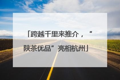 跨越千里来推介，“陕茶优品”亮相杭州