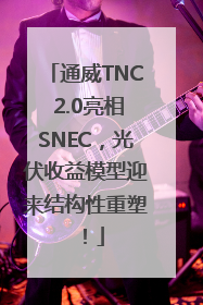 通威TNC 2.0亮相SNEC，光伏收益模型迎来结构性重塑！