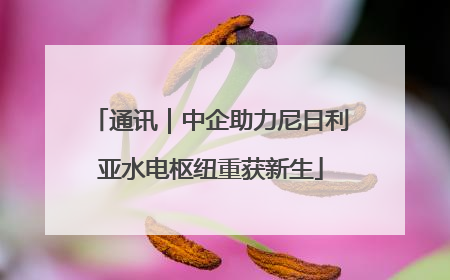 通讯｜中企助力尼日利亚水电枢纽重获新生