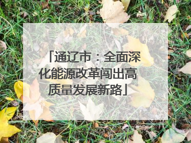 通辽市：全面深化能源改革闯出高质量发展新路