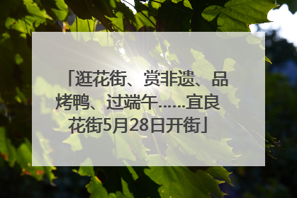 逛花街、赏非遗、品烤鸭、过端午……宜良花街5月28日开街