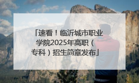 速看！临沂城市职业学院2025年高职（专科）招生简章发布