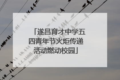 遂昌育才中学五四青年节火炬传递活动燃动校园