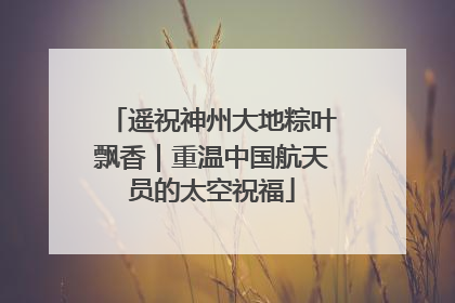 遥祝神州大地粽叶飘香｜重温中国航天员的太空祝福