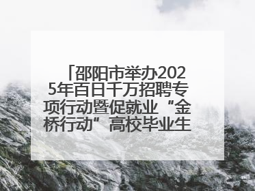 邵阳市举办2025年百日千万招聘专项行动暨促就业“金桥行动”高校毕业生专场招聘会