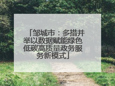 邹城市：多措并举以数据赋能绿色低碳高质量政务服务新模式
