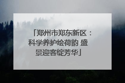 郑州市郑东新区：科学养护绘荷韵 盛景迎客绽芳华