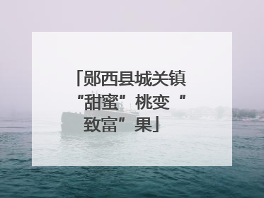 郧西县城关镇“甜蜜”桃变“致富”果