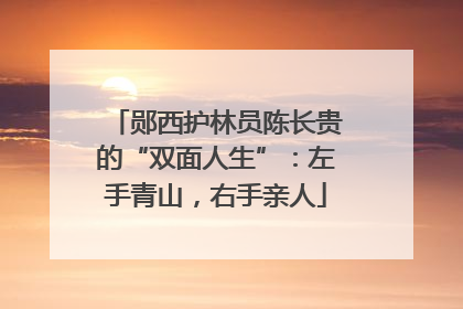 郧西护林员陈长贵的“双面人生”：左手青山，右手亲人