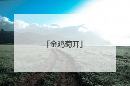 金鸡菊开