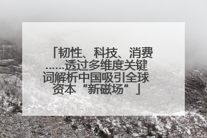 韧性、科技、消费……透过多维度关键词解析中国吸引全球资本“新磁场”
