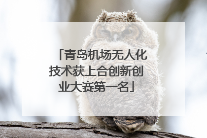 青岛机场无人化技术获上合创新创业大赛第一名
